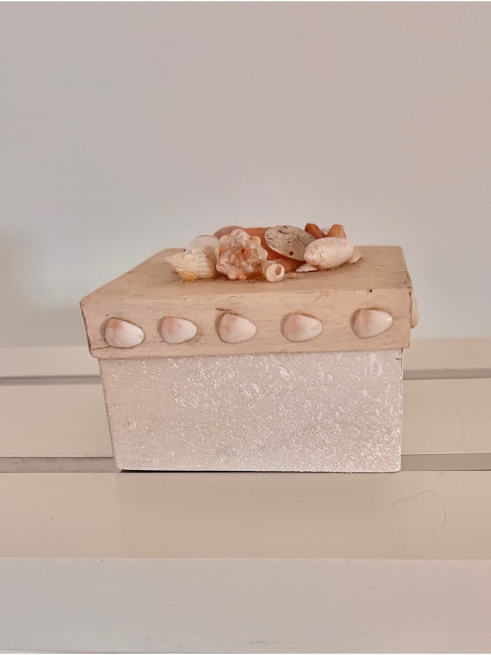 Seashell Accent Trinket Box in Natural Cream and Blush